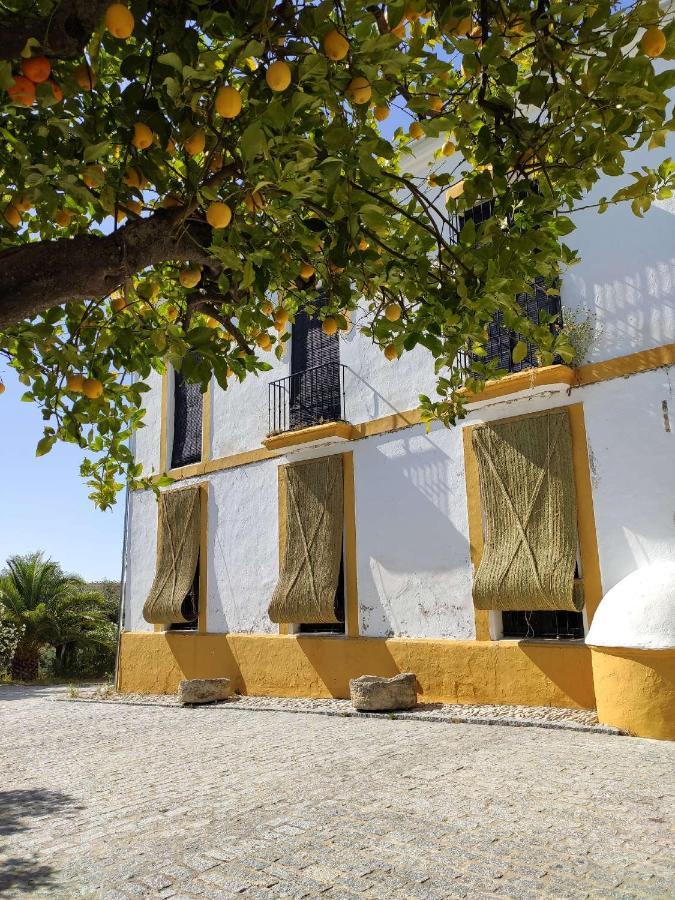 Finca Las Rosas De Santa Ana Villamartín Kültér fotó
