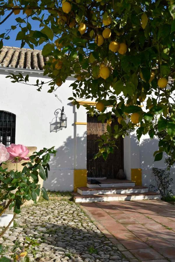 Finca Las Rosas De Santa Ana Villamartín Kültér fotó
