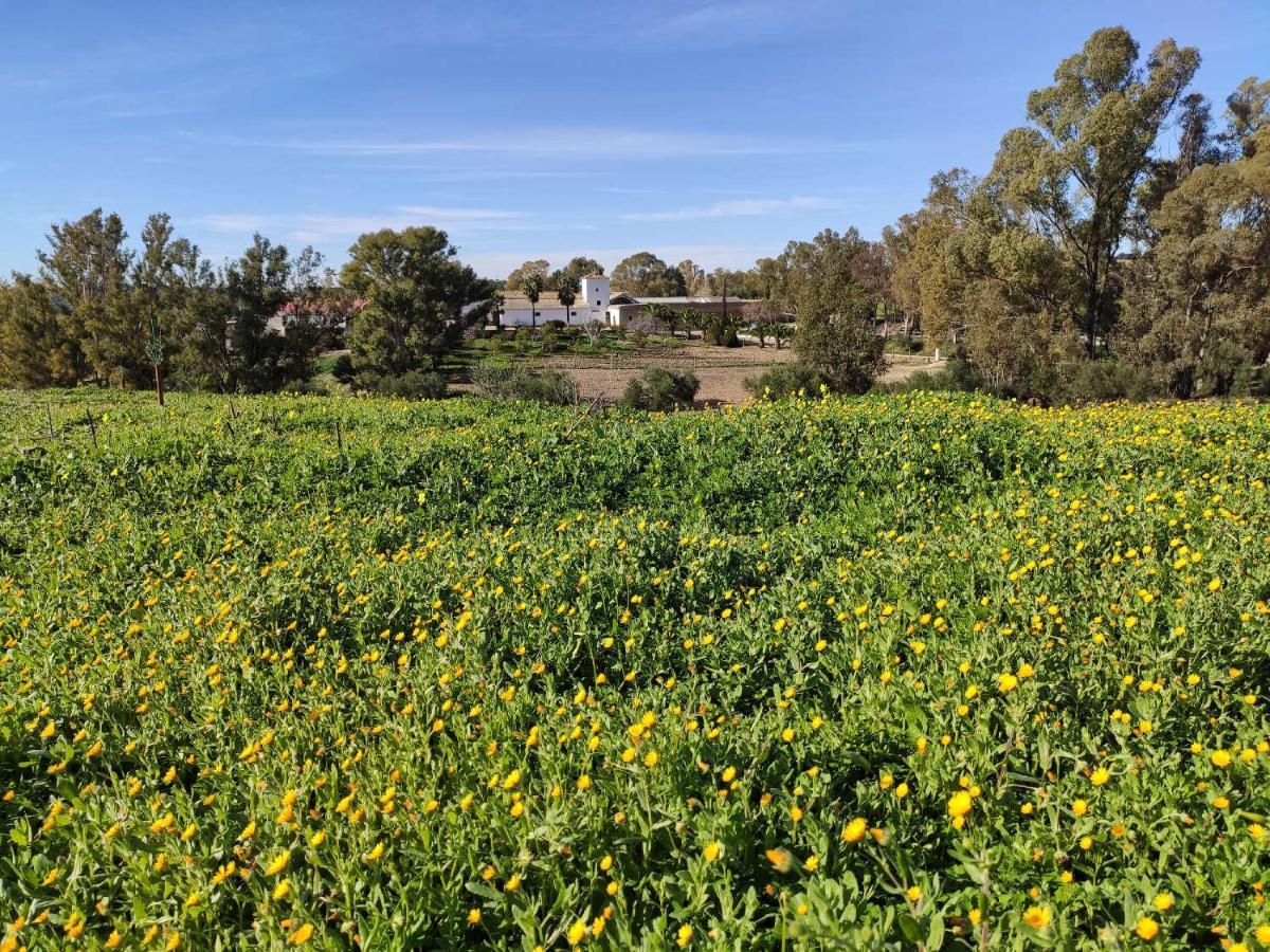 Finca Las Rosas De Santa Ana Villamartín Kültér fotó
